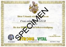 gelb-gurt-urkunde